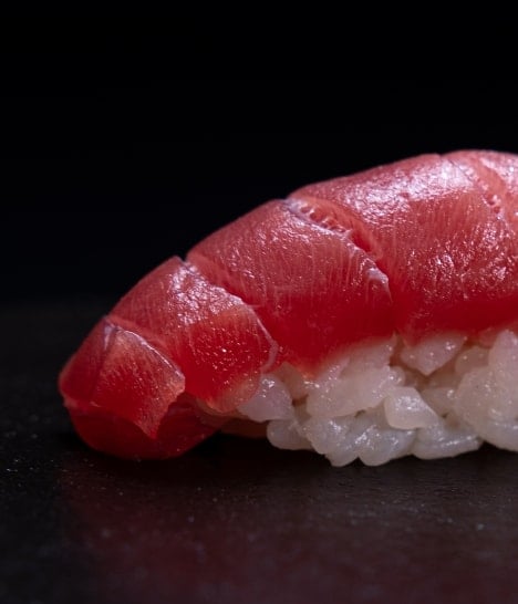 Piece of fish sitting on rice