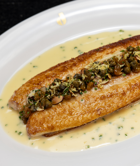Fish dish with cream sauce base and garnish