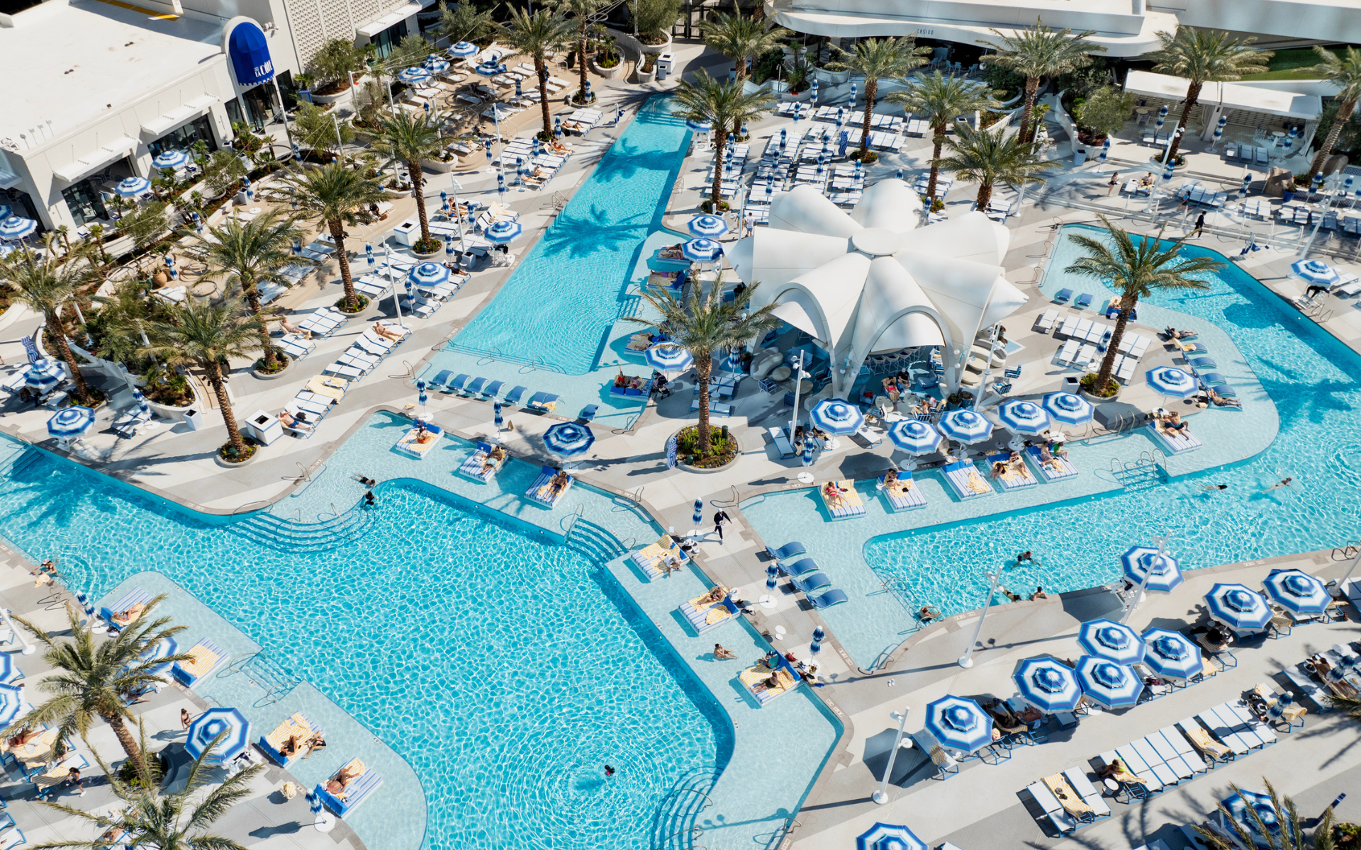 Birds eye pool layout with lounges, cabanas and bar