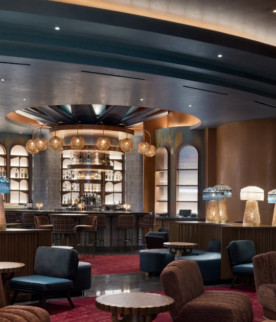 Bar seating area with liquor display wall and decorative elements