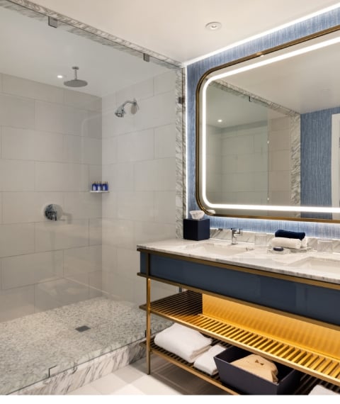 Bathroom vanity and shower