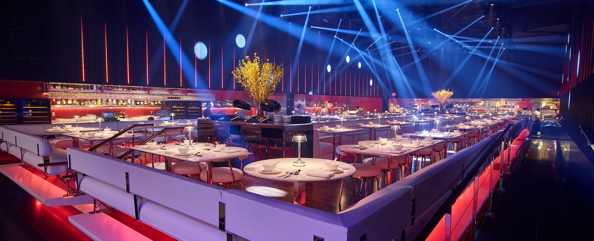 Washing Potato seating area with mood lighting