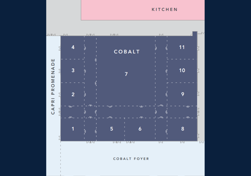 Cobalt conference room map detail