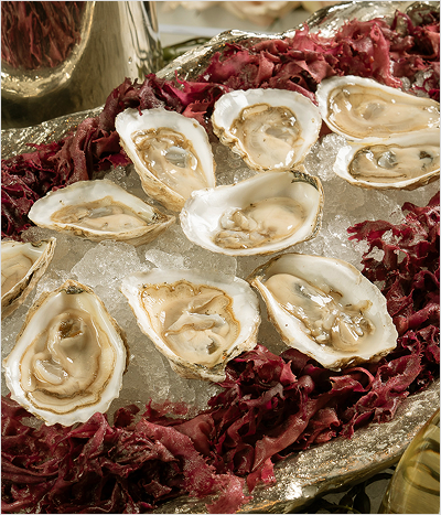 Oysters