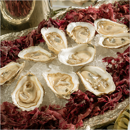 Oysters on ice with decor and champagne bottle