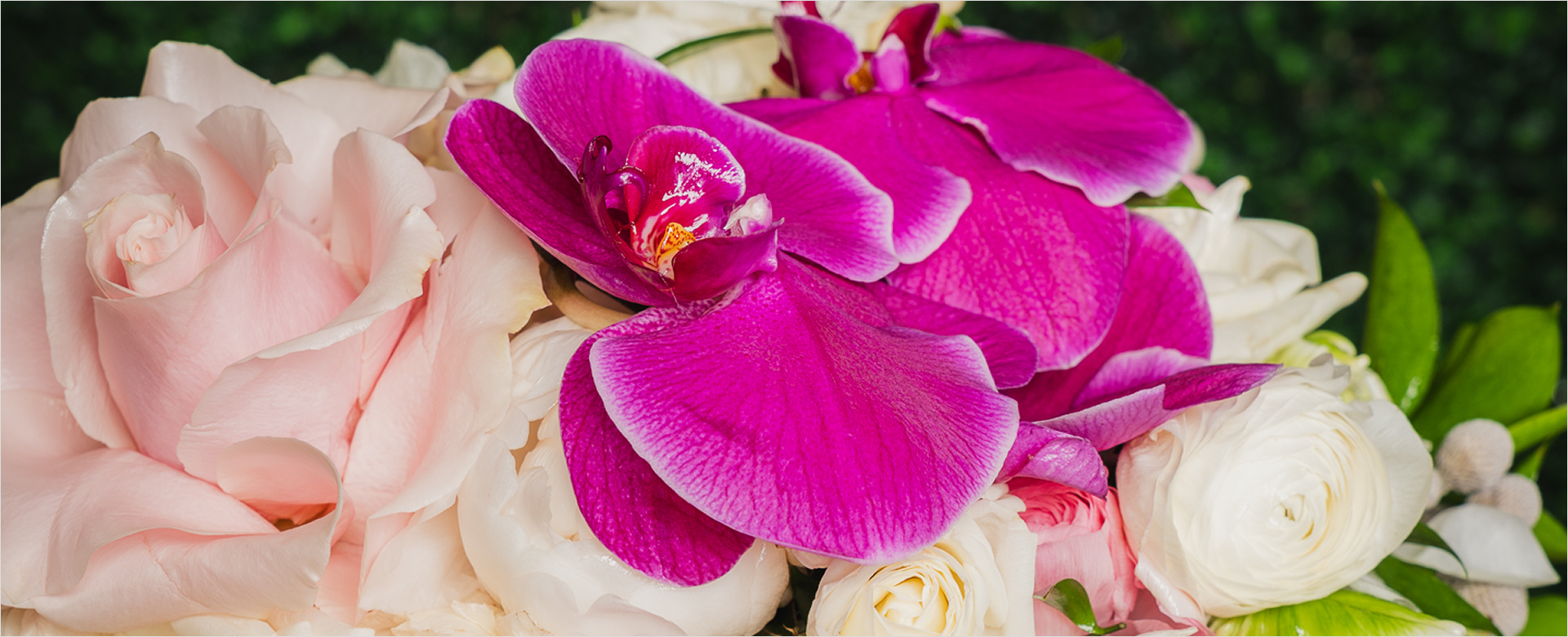 Close up of vivid and pale pink flowers