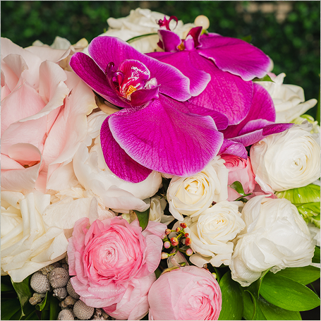 Close up of vivid and pale pink flowers