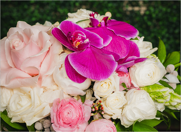 Close up of vivid and pale pink flowers